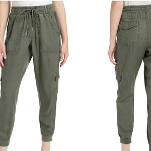 splendid lakeside jogger